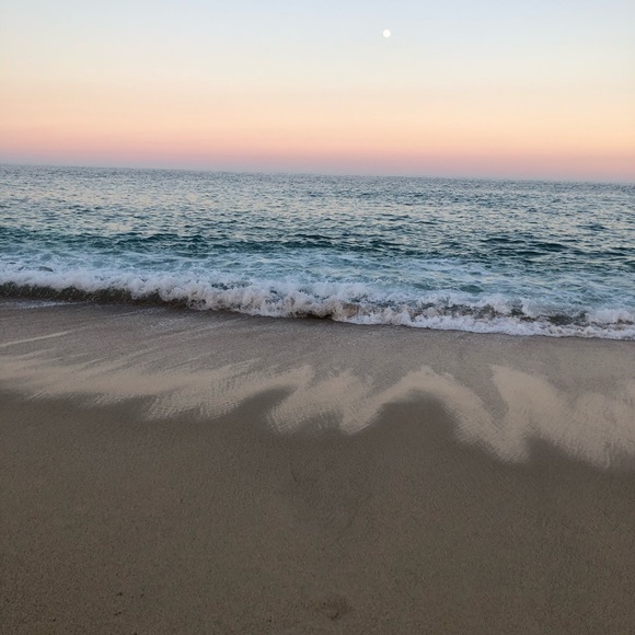 Meet your Posher, Jade - Picture 1 of 1